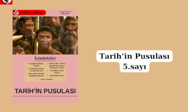Neandarteller, Homosapiensler ve İnsansılar