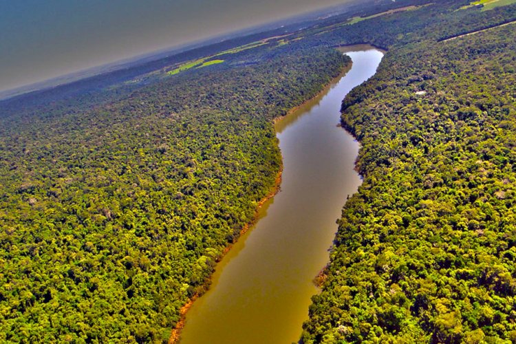 Hangisi Güney Amerika'nın en büyük gölüdür?