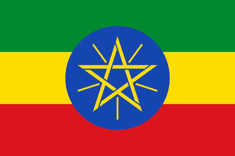 Resimdeki bayrak hangi ülkeye aittir?